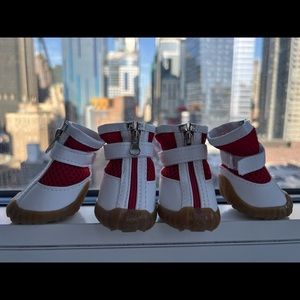 BRAND NEW DOG SHOES